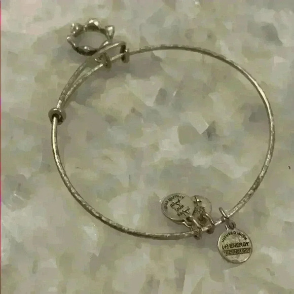 Alex and Ani silver bracelet with the crown - Picture 3 of 4